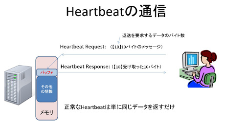 HeartbleediOpenSSLTLS/Hesrtbeatg@\ɂ郁̘Rkj@}2