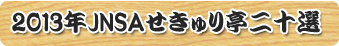 2012JNSAせきゅり亭20選