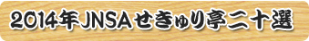 2012JNSAせきゅり亭20選